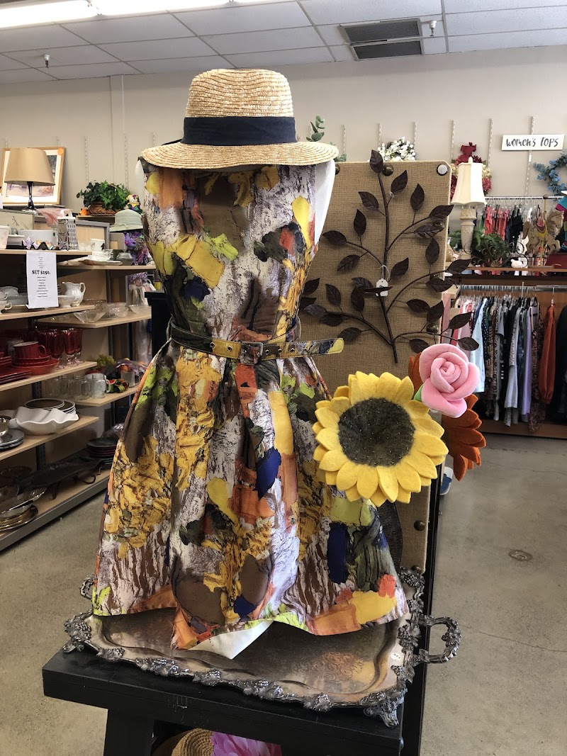 Hospice Thrift Shoppe photo 3