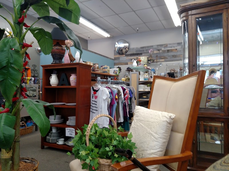 Hospice Thrift Shoppe photo 2