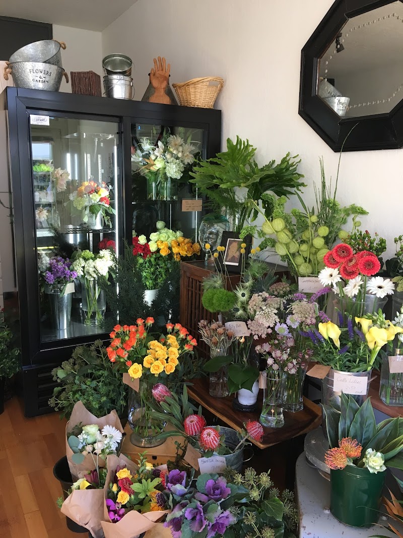 Momo's Flowers and More photo 5