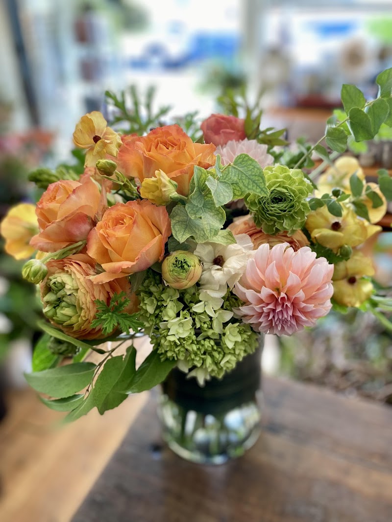 Momo's Flowers and More photo 4