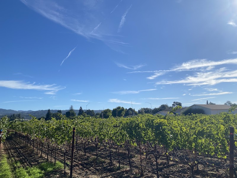 Corison Winery photo 5