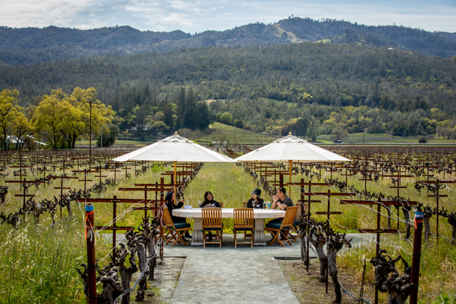 Corison Winery photo 3