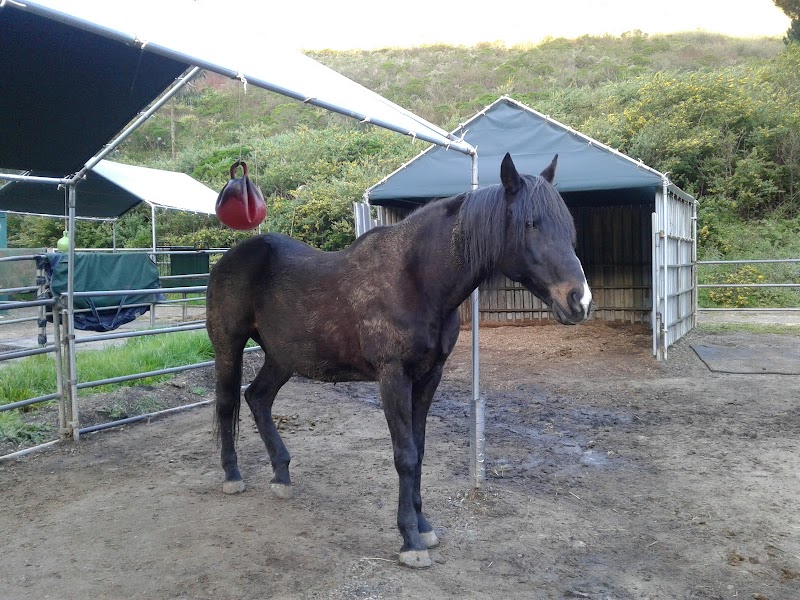 Photo of Mill-wood Ranch