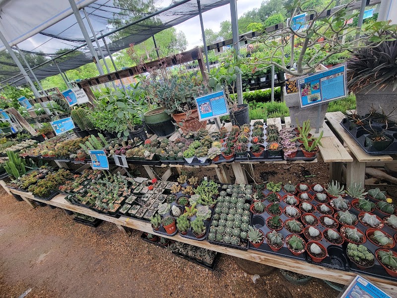 Rainbow Gardens photo 5