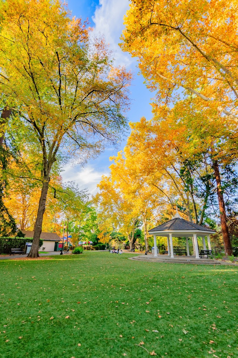 Pioneer Park photo 3