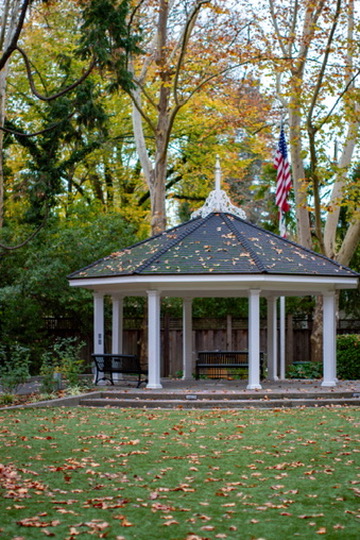 Pioneer Park photo 5