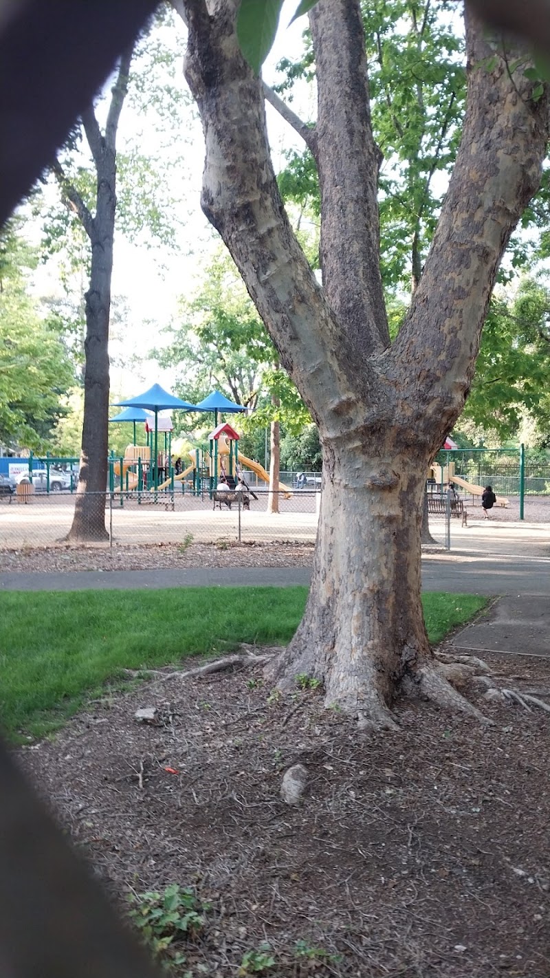 Pioneer Park photo 4