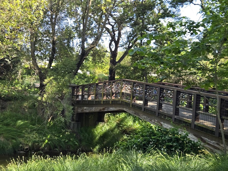 UCDavis photo 2