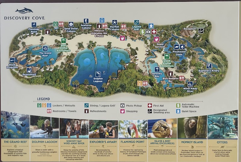 Discovery Cove photo 2