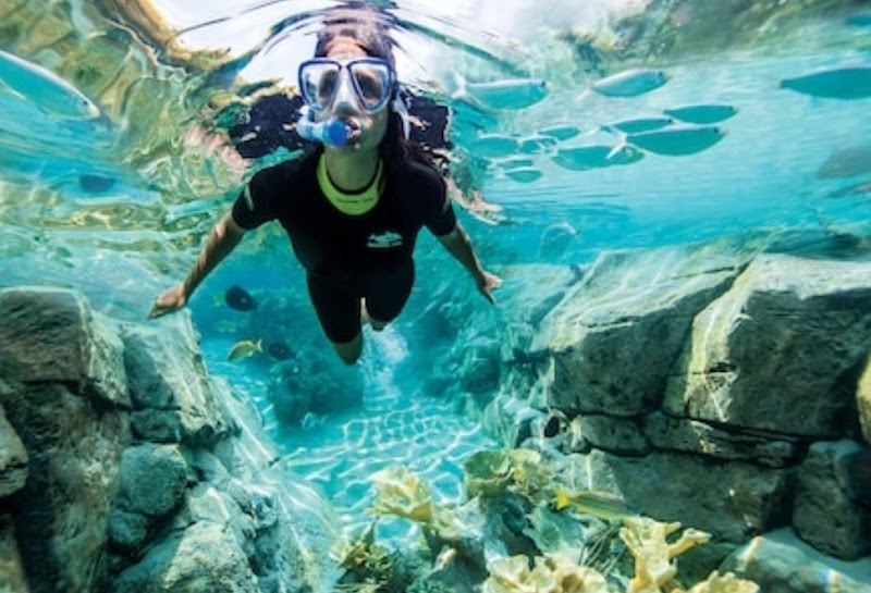 Photo of Discovery Cove
