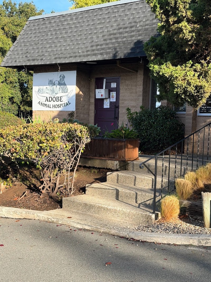 Adobe Animal Hospital photo 2