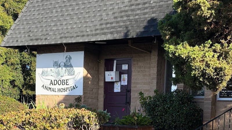 Photo of Adobe Animal Hospital