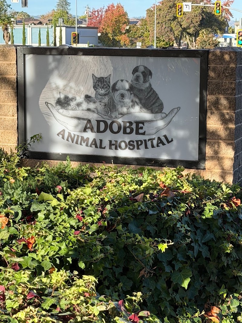 Adobe Animal Hospital photo 5