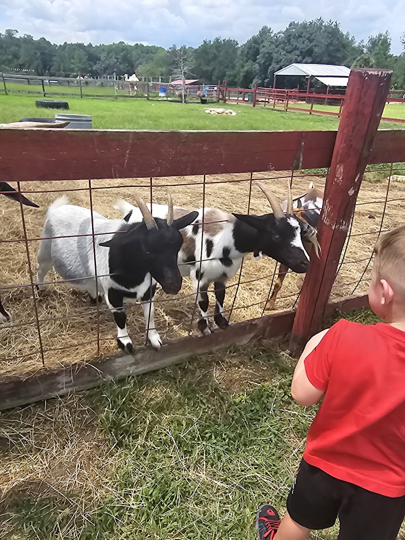 Photo of Petting Zoo Ocala