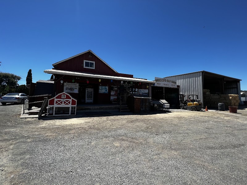 Brocco's Old Barn photo 5