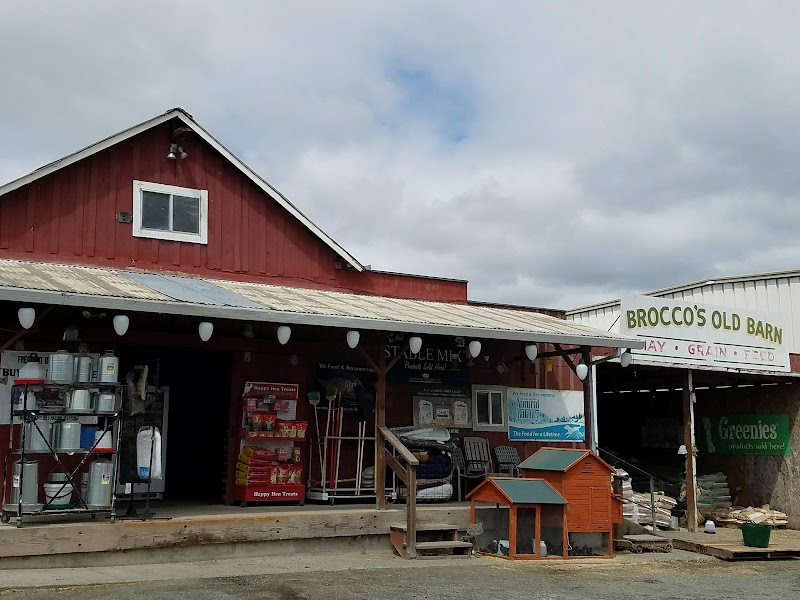 Brocco's Old Barn photo 3