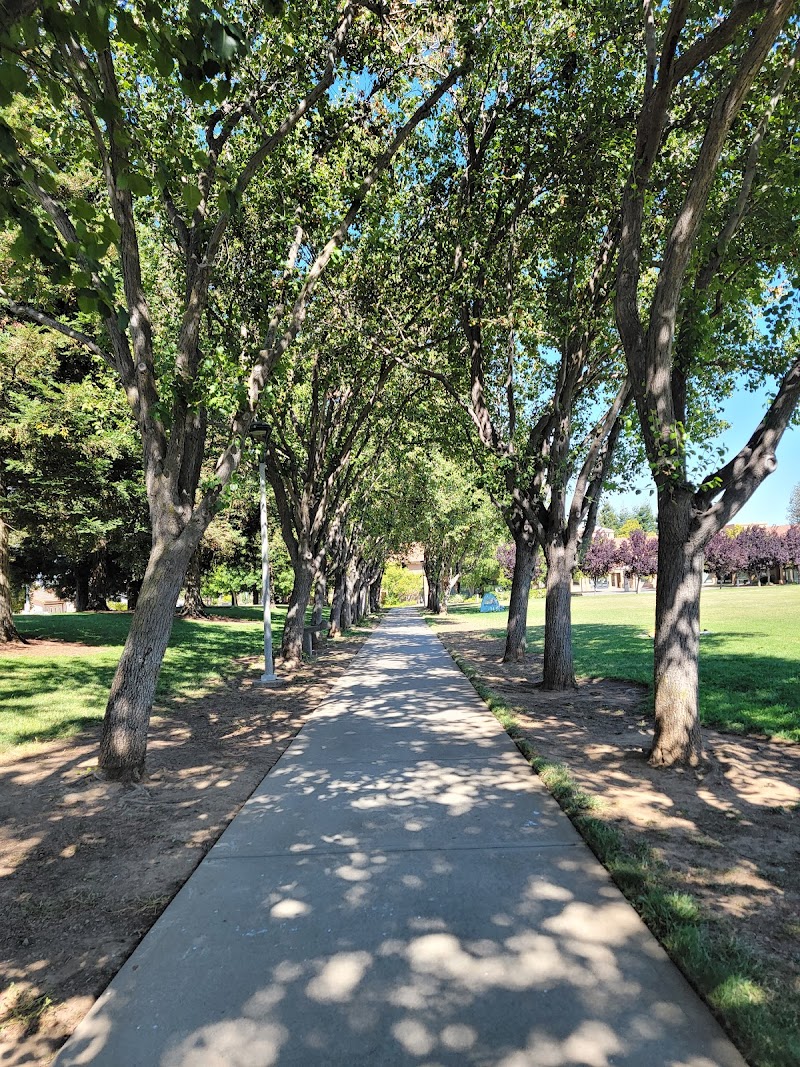 Cupertino Memorial Park photo 5