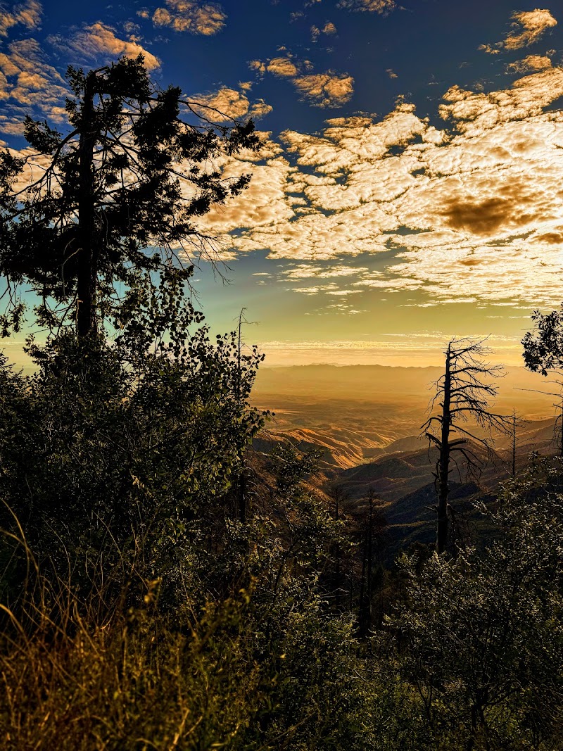Aspen Vista photo 5