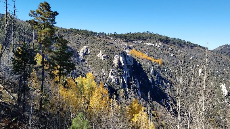 Aspen Vista photo 2
