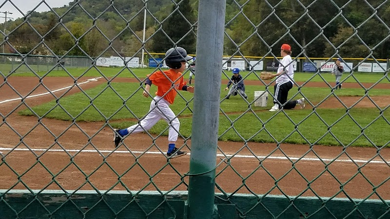 Contratti Park Baseball Field photo 5