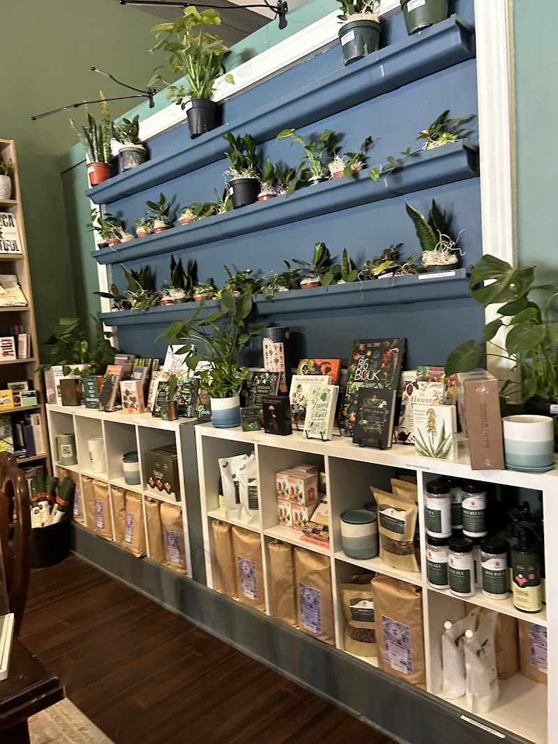 Belmont Bookshop photo 3