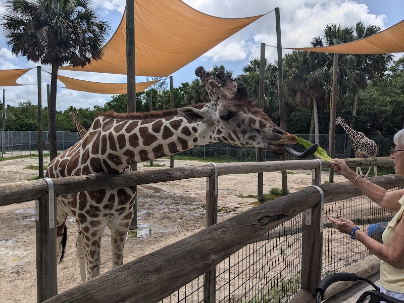 Photo of Naples Zoo at Caribbean Gardens