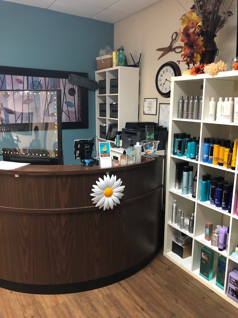 Above & Beyond Salon-Day Spa photo 5