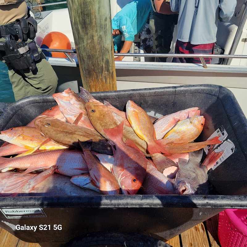 Salty Dog Charters photo 4