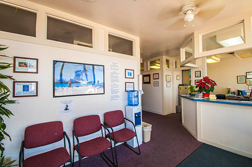 First Chiropractic photo 3