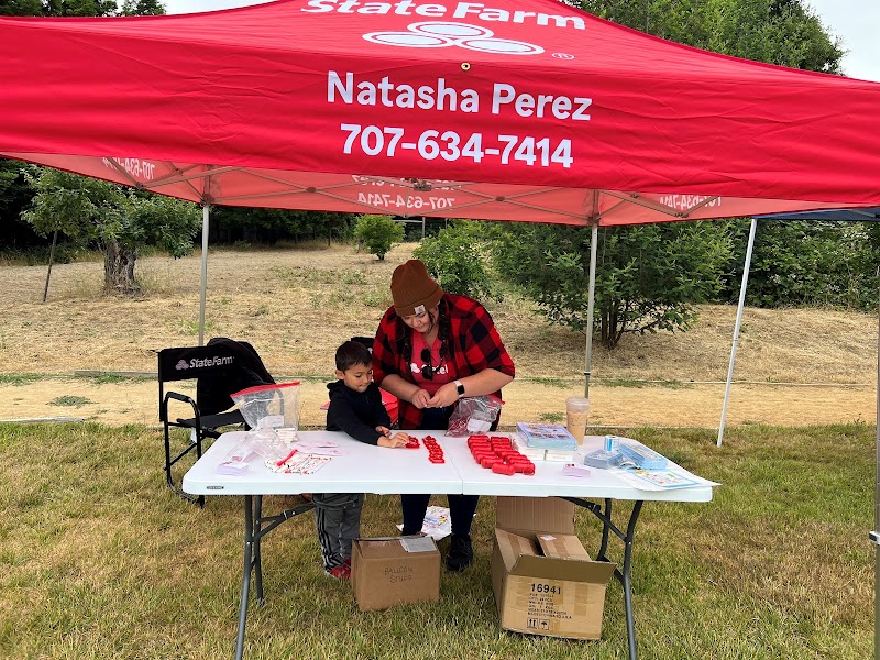 Natasha Perez - State Farm Insurance Agent photo 3