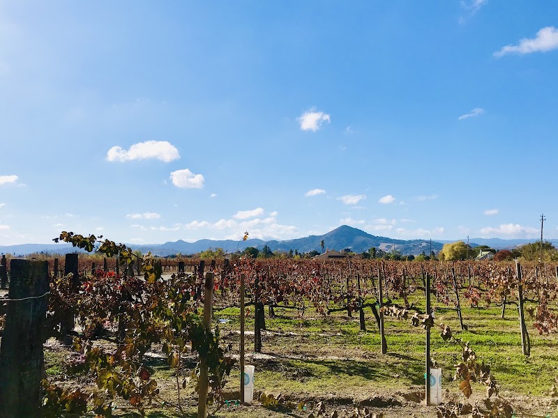 Guglielmo Winery photo 2