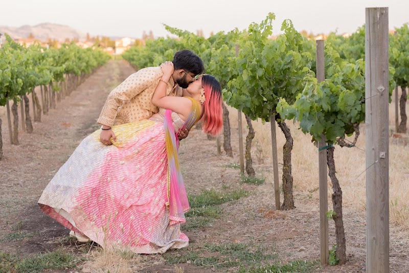 Guglielmo Winery photo 3