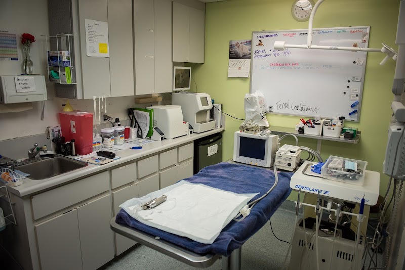 Arroyo Veterinary Clinic photo 5