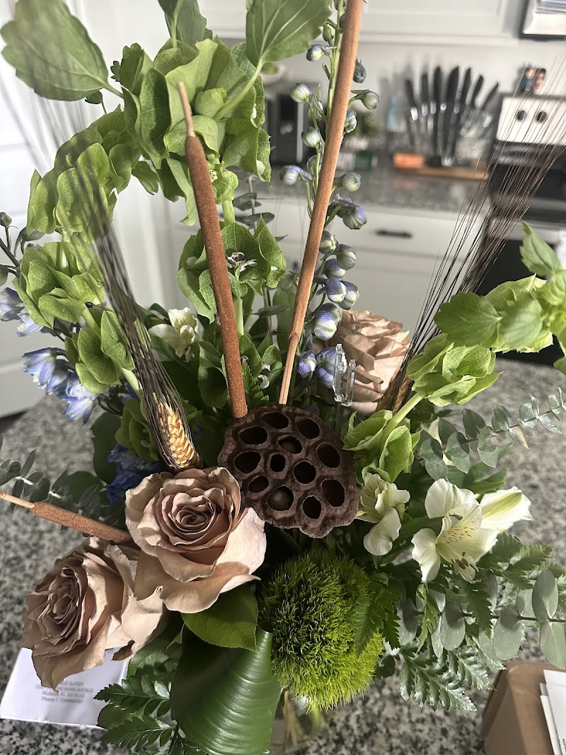 Betty's Flowers & Plants photo 5
