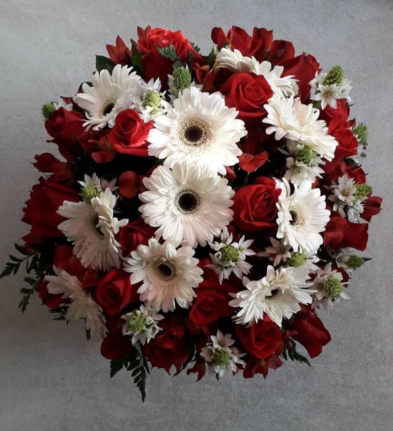 Betty's Flowers & Plants photo 3