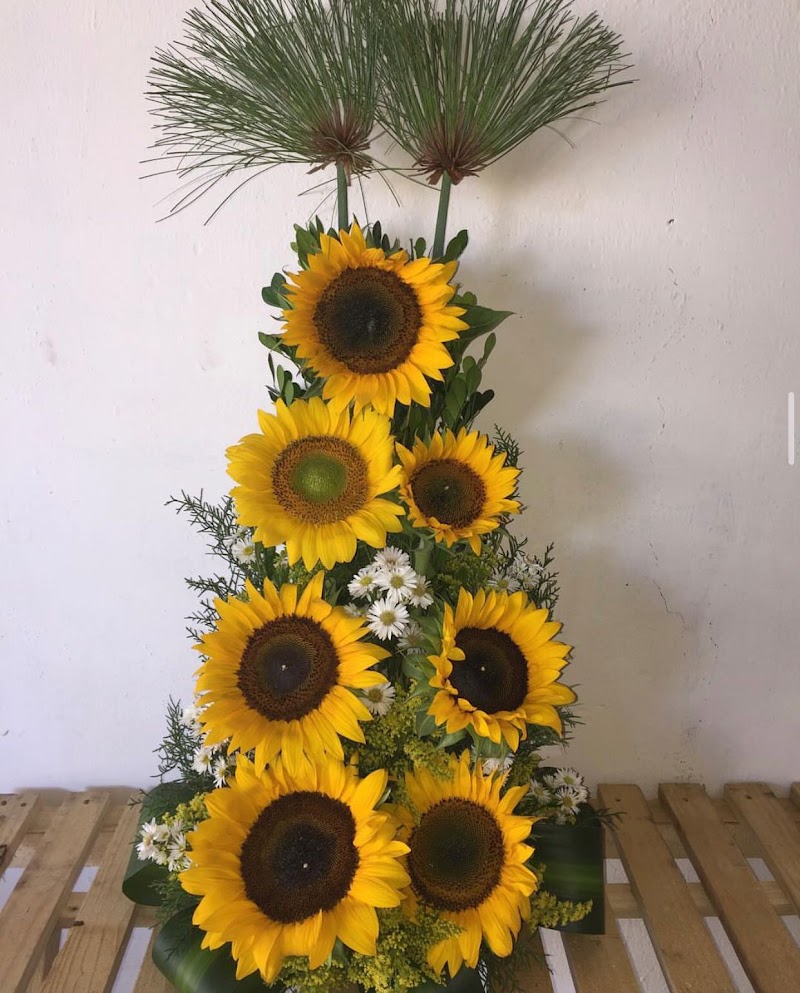 Betty's Flowers & Plants photo 2