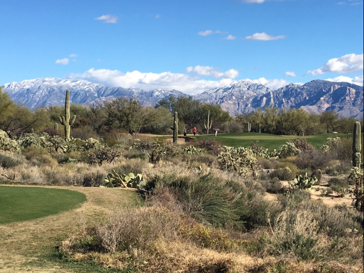 The Highlands at Dove Mountain photo 4