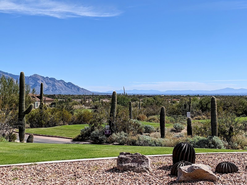 The Highlands at Dove Mountain photo 3