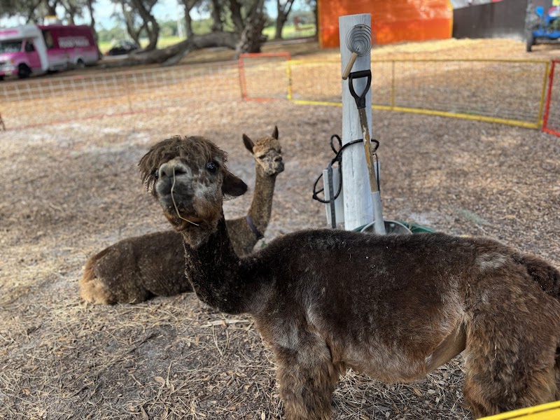 Green Meadows Petting Farm photo 4