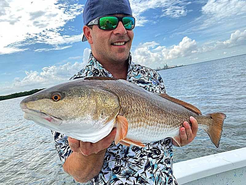Swift Fish Charters photo 2