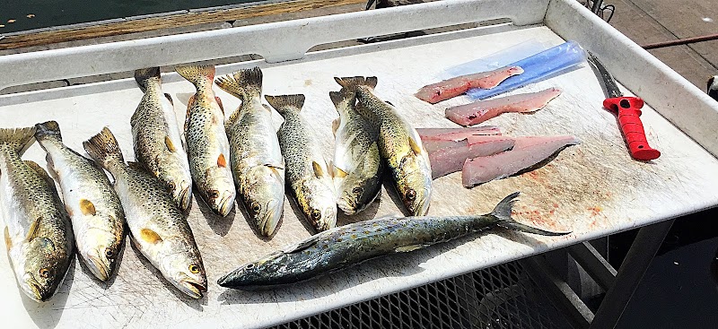 Swift Fish Charters photo 5