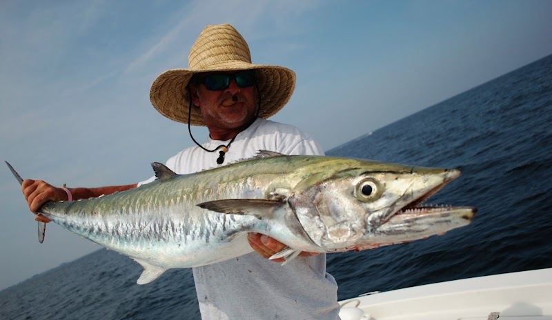 Photo of Swift Fish Charters
