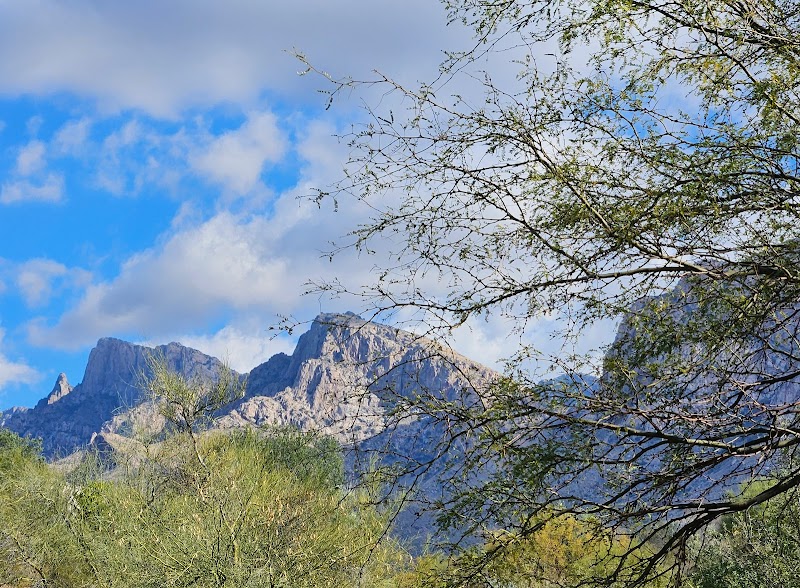 El Conquistador Tennis at Pusch Ridge photo 2