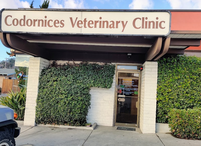 Codornices Veterinary Clinic photo 2