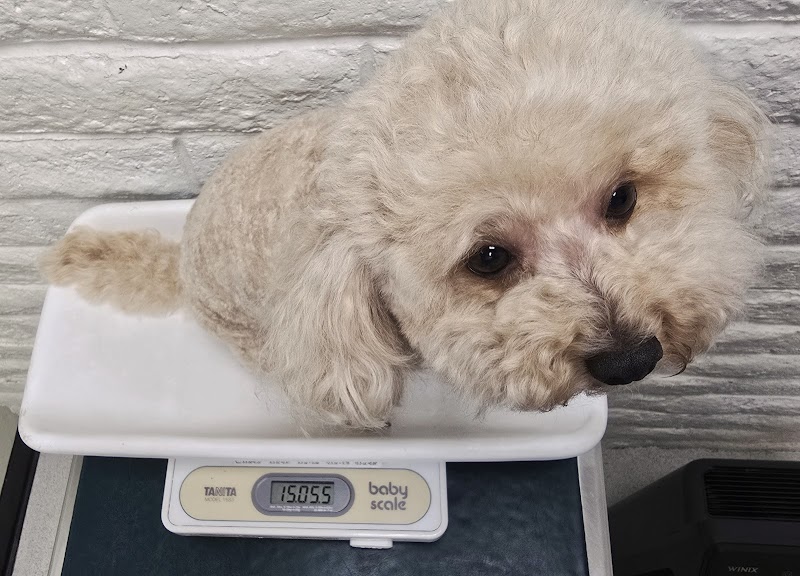 Photo of Codornices Veterinary Clinic: Gurley Erica DVM