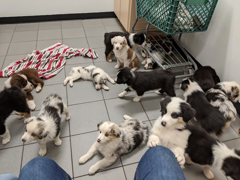 Berry Patch Animal Clinic photo 2