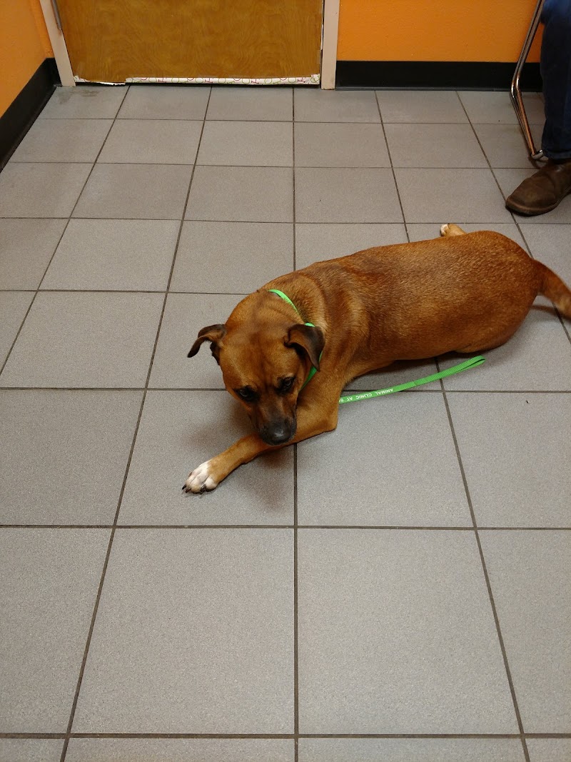 Berry Patch Animal Clinic photo 4