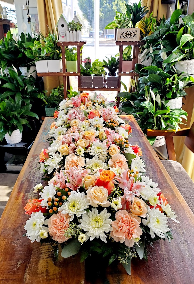 Bixby Knolls Flowers photo 4