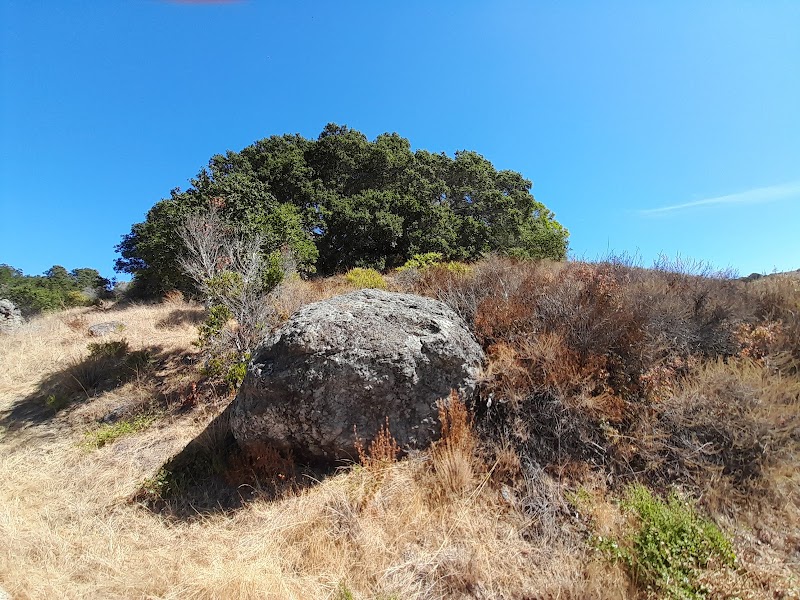 Glen Fire Road Trailhead photo 4