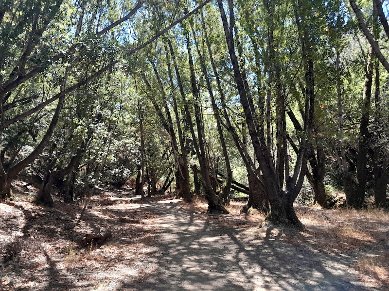 Glen Fire Road Trailhead photo 2